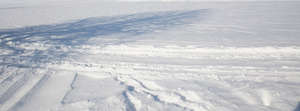 field of snow with tracks and tree shadow