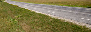 asphalt road between grasslands