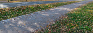 road with shadows and fallen leaves