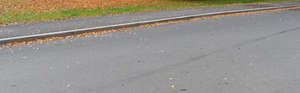 tarmac road with some fallen leaves