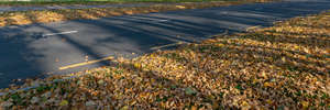 tarmac road with yellow leaves on side