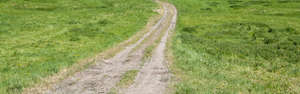 small road in the grass field
