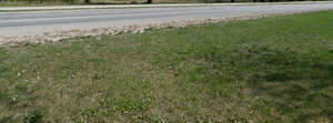 asphalt road with some shadows