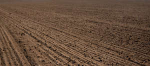 bare agricultural field