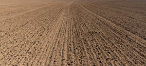 ploughed field