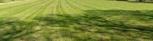 freshly mown lawn with tree shadows