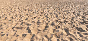 sand in sunlight