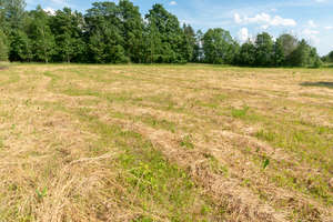 field of cut hay