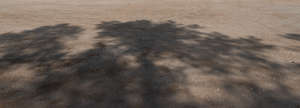 gravel field with tree shadow