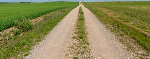 gravel road in countryside