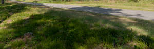 small tarmac road in the countryside