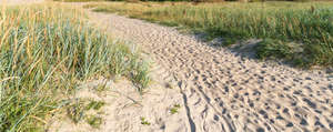 sandy footpath