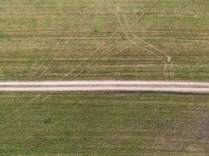 path between the fields seen from above