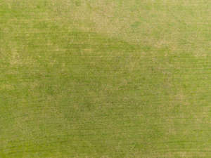 bird-eye view of the lawn