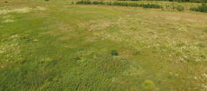 bird-eye view of a meadow