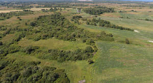 bird eye view of the grassland with trees and bushes