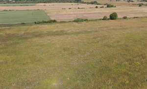 bird-eye view of fields