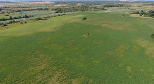 grass field seen from above