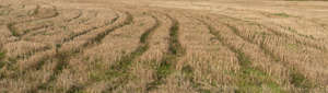 harvested hay field in autumn