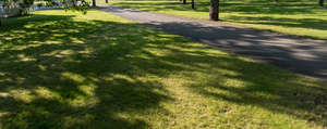 park ground with a path and lawn