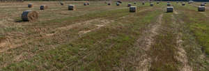 fresly cut hay field