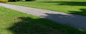 small road with tree shadow