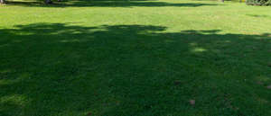 lawn with a large shadow