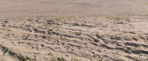 sand field in sunlight
