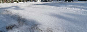 snow covered road with tree shadows