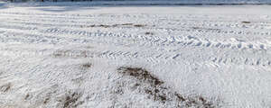 snowy road with tyre tracks