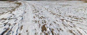 snow covered beach