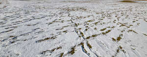 snowy beach with footprints