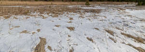 sandy seaside with snow and grass