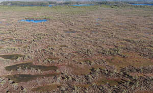 bog with some little lakes seen from above