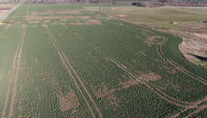 large agricultural field seen from above