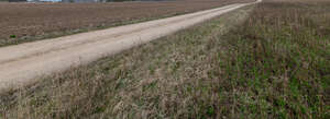 small gravel road in a countryside