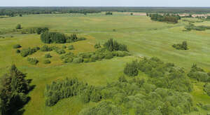 bird-eye view of a countryside in summer