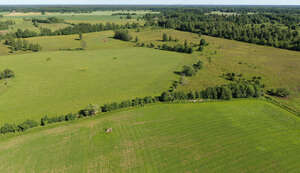 aerial voew of large fields in summer