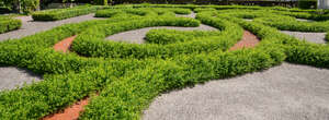 french formal garden with rows of hedges