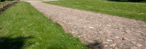 cobblestone road in sunlight