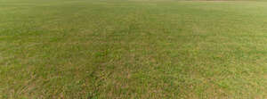 large field of mowed lawn