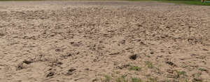 sand with footrints in sunlight