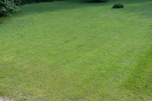 lawn seen from above