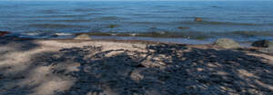 seashore with tree shadows