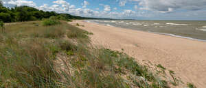 seashore with sand and grass