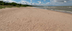 sandy seashore in summer