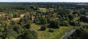 aerial view of the forests near a big city