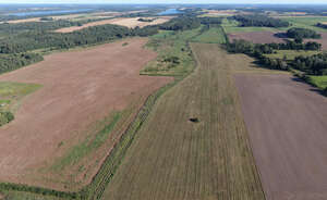 aerial view of a landscape with agricultural fields