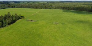 aerial view of a large grassland between forests