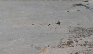 aerial view of an asphalt with some tracks and puddles